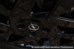 Thumbnail 11