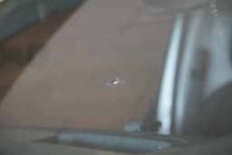 Thumbnail 21