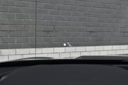 Thumbnail 26