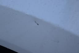 Thumbnail 22