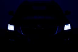 Thumbnail 19