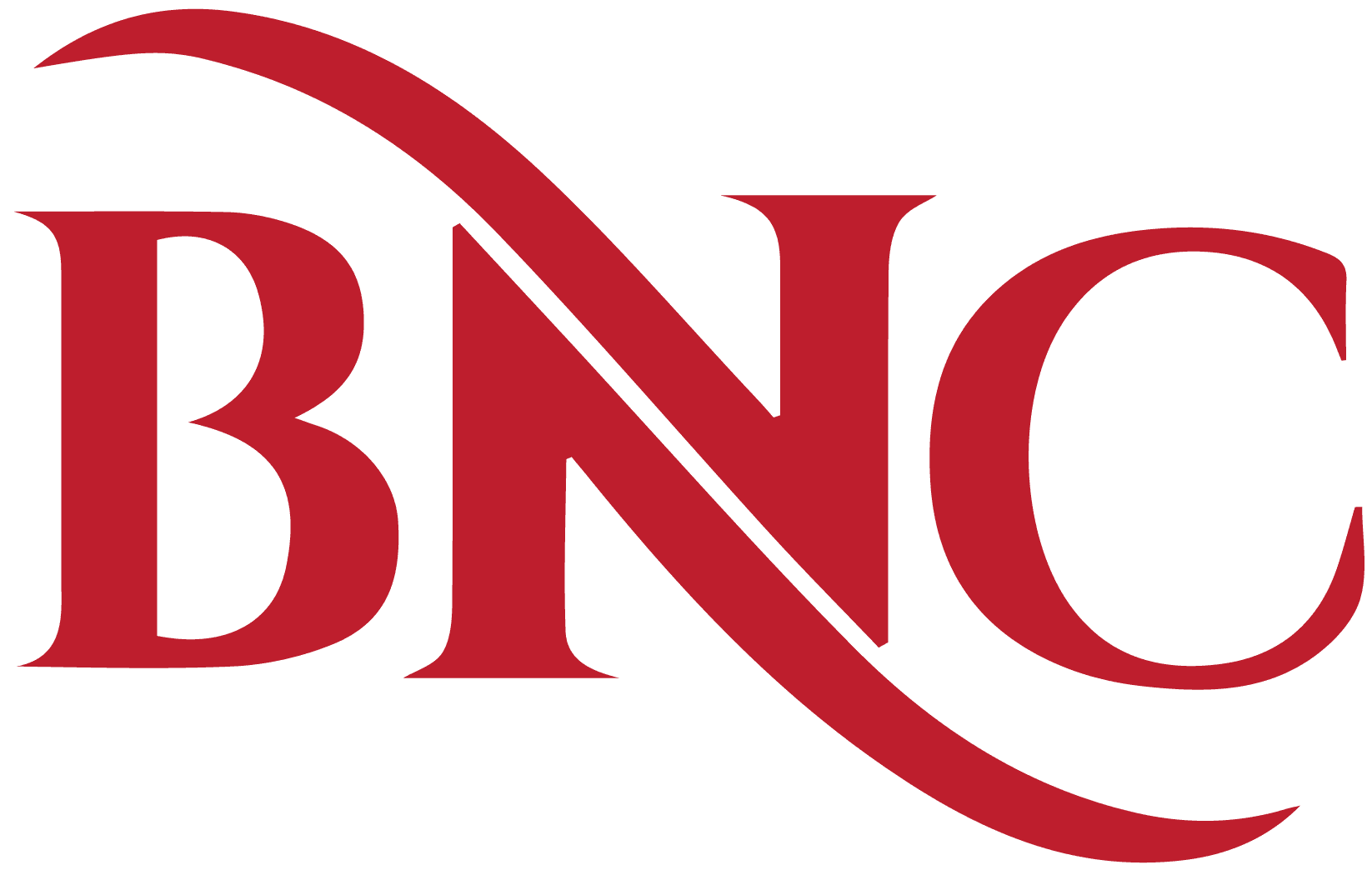 Ber-Nur Consultancy logo